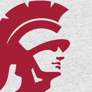 University of Southern California USC Grey Trojan Mascot PS5 Controller Skin